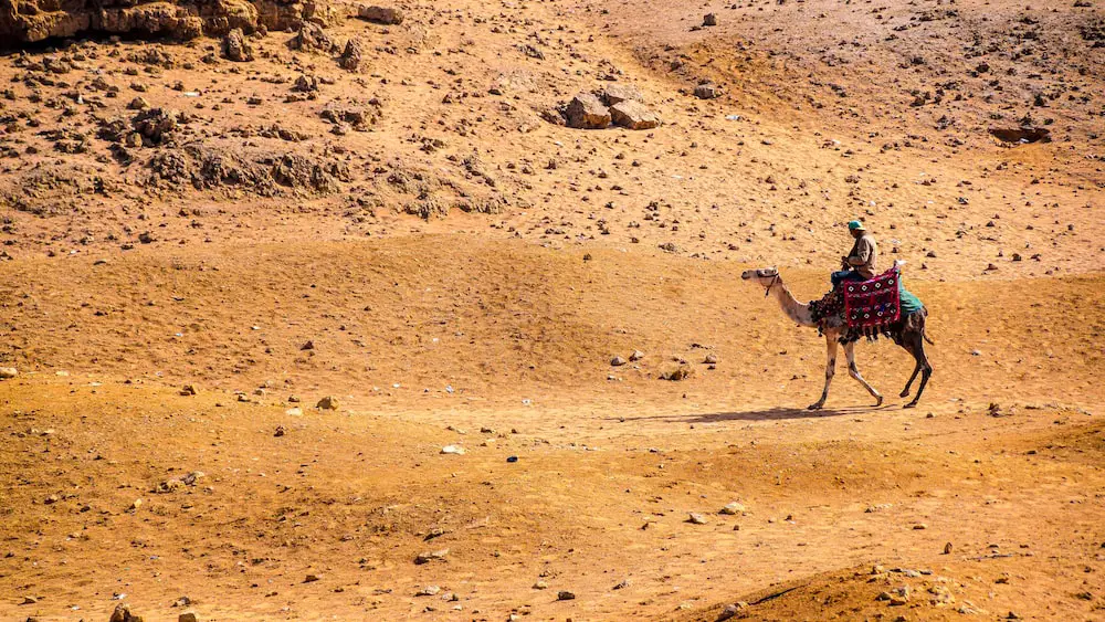 15 Intriguing King Tut Interesting Facts You Need To Know